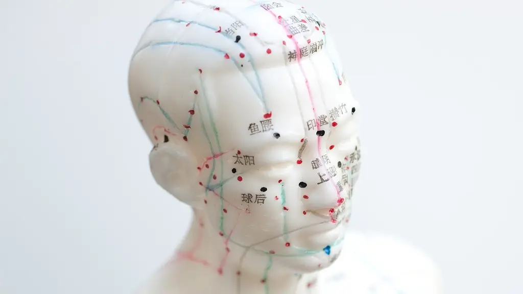 una cabeza de maniquí con los puntos de acupuntura marcados y delineados con líneas de colores azul y rojo