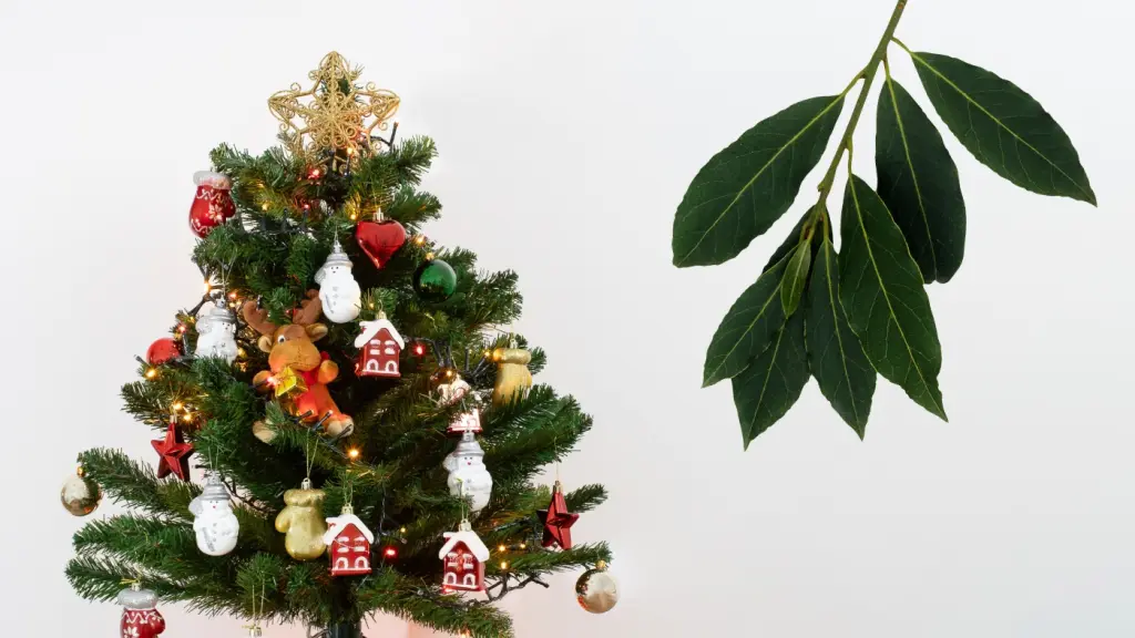 Laurel en el árbol de navidad ¿Para qué sirve?