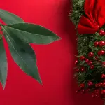 Laurel en el árbol de navidad