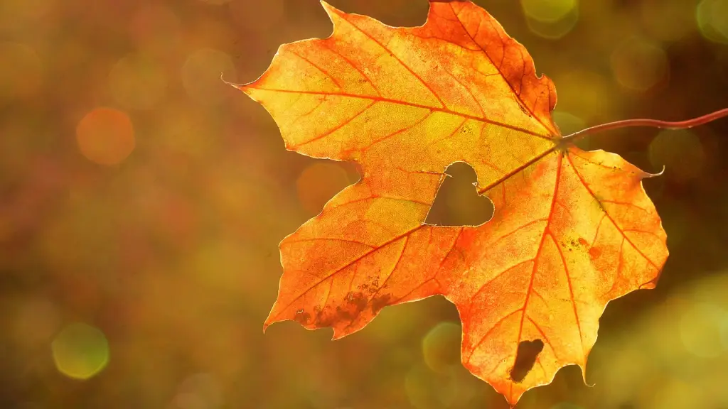 Cuándo es el equinoccio de otoño?