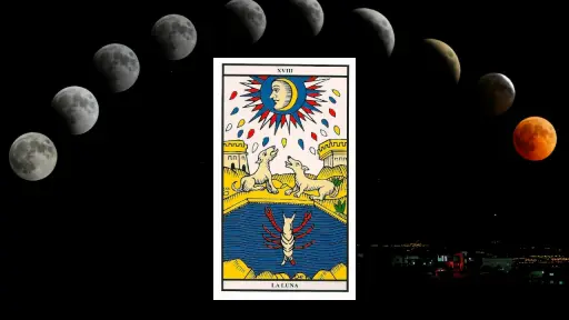 Arcano 18 del tarot - La Luna