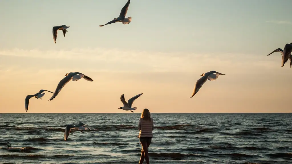 Qué significa soñar con perderse-Mujer de espaldas en una playa al atardecer